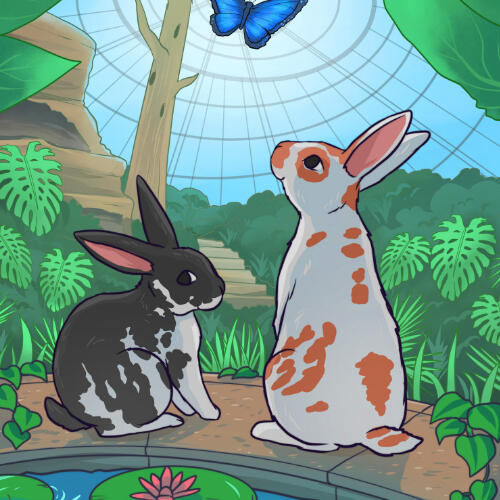 Houston Butterfly Center