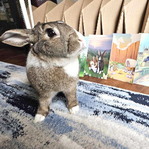 Elder Secretary Hansel